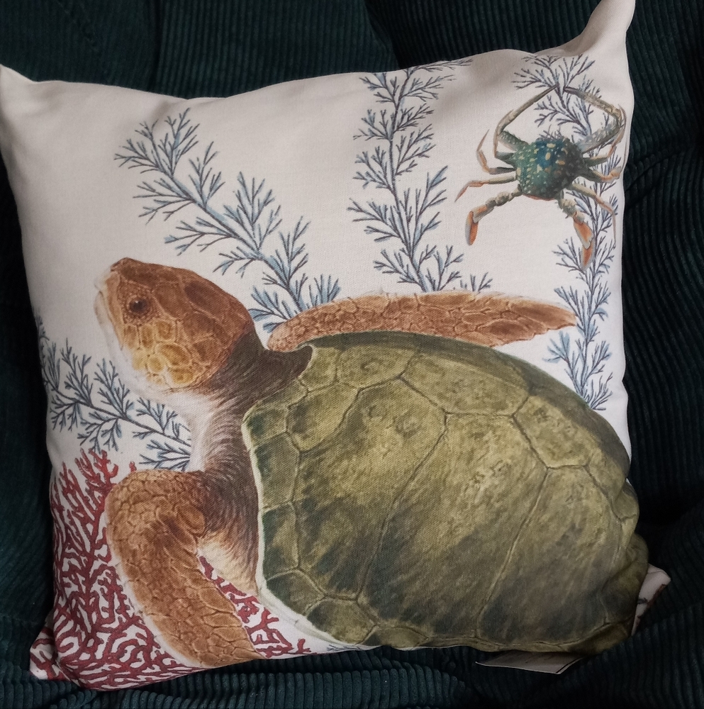 NWT Pottery Barn Coastal Outdoor Pillow Barn